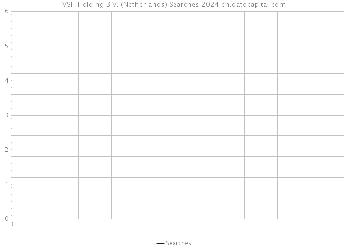 VSH Holding B.V. (Netherlands) Searches 2024 