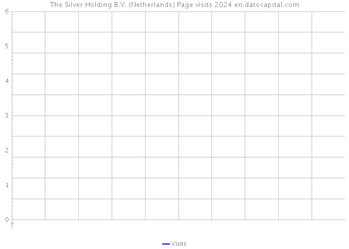 The Silver Holding B.V. (Netherlands) Page visits 2024 