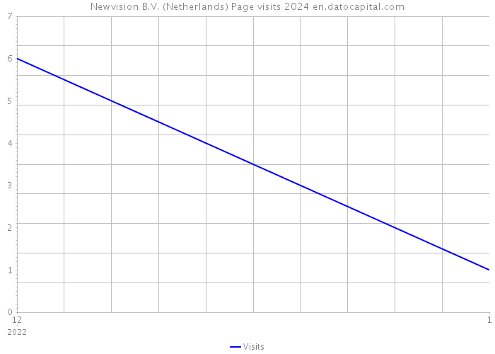 Newvision B.V. (Netherlands) Page visits 2024 