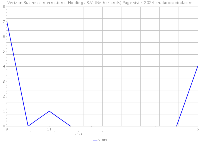 Verizon Business International Holdings B.V. (Netherlands) Page visits 2024 