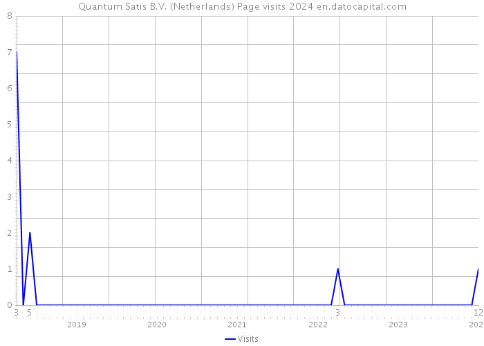Quantum Satis B.V. (Netherlands) Page visits 2024 