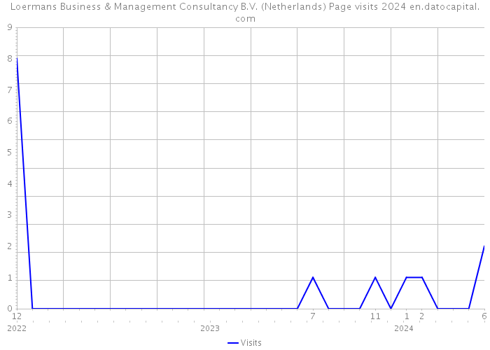 Loermans Business & Management Consultancy B.V. (Netherlands) Page visits 2024 