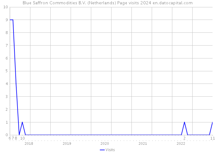Blue Saffron Commodities B.V. (Netherlands) Page visits 2024 